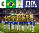 Selección de Brasil, Grupo A, Brasil 2014