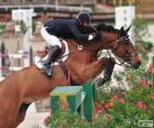 Caballo y su jinete superando un obstáculo en un concurso de saltos