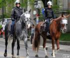 Policías a caballo