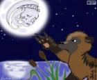 La luna y el oso