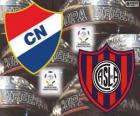 Club Nacional de Paraguay vs San Lorenzo de Almagro de Argentina. Final Copa Libertadores 2014