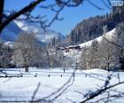 Paisaje invernal