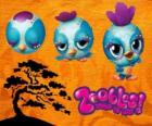Pajarito Zooble de Petagonia