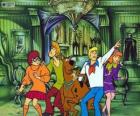 Scooby Doo y su pandilla de amigos tienen miedo