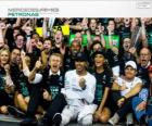 Lewis Hamilton, campeón del mundo de F1 2014 con Mercedes