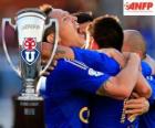La U, Club Universidad de Chile, campeón chileno Apertura 2014