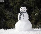 Un elegante muñeco de nieve