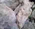 Piedras para el jardín