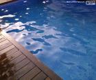 Piscina particular