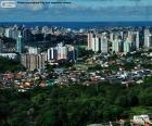 Manaos es la capital del estado de Amazonas, Brasil. Está situada en el centro de la selva tropical más grande del mundo