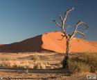 Desierto del Namib, Namibia