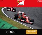 Vettel, G.P de Brasil 2015