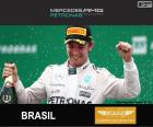 Rosberg G.P de Brasil 2015