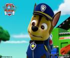 Chase es un líder nato y el perro policía de la patrulla canina, Paw Patrol
