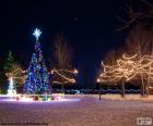 Árboles iluminados, Navidad
