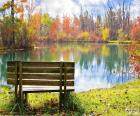 Banco de madera junto al estanque en un día soleado de otoño