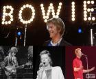 David Robert Jones (David Bowie), fue un cantante Inglés, compositor, multi-instrumentista, productor, arreglista, pintor y actor