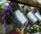 Flores violetas plantadas en macetas metálicas