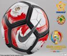 Nike Ordem Ciento la pelota oficial de la Copa América Centenario, Estados Unidos 2016