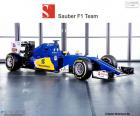 Sauber F1 Team 2016 formado por Marcus Ericsson, Felipe Nasr y el nuevo C35