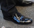 Zapatos novio