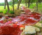 Curioso río con el agua de color rojo que fluye por el prado y el bosque