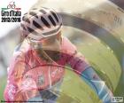 V. Nibali, Giro Italia 16