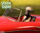 Shaun conduciendo un coche