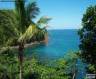 El mar desde una isla tropical