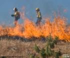 Dos bomberos, fuego