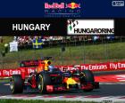 D. Ricciardo, GP Hungría 16