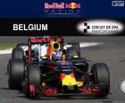 D Ricciardo GP Bélgica 2016