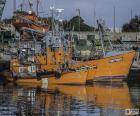 Barcos de pesca en el puerto de Mar del Plata, Argentina
