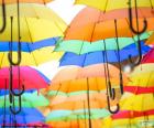 El paraguas es un objeto para protegerse de la lluvia y un complemento de moda, hay de muchos estampados y colores