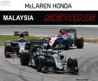 F. Alonso, GP Malasia 2016