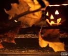 Calabaza y hojas secas