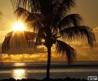 Bonita puesta de sol sobre el mar, vista desde la costa detrás de una palmera