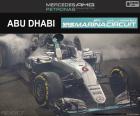 N. Rosberg, GP Abu Dhabi 16