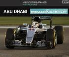 L Hamilton, GP Abu Dhabi 16