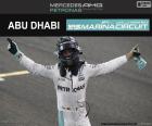 N. Rosberg, campeón F1 2016