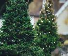 Dos árboles de Navidad decorados con pequeñas luces blancas