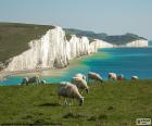 Los acantilados Seven Sisters, situados en el canal de la Mancha, en East Sussex, Inglaterra