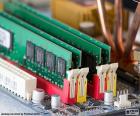 Módulos de memoria RAM conectados a la placa base. Son la memoria de las computadoras para el sistema operativo los programas y la mayor parte del software