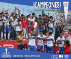Universidad Católica, campeón 2016