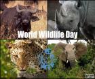 Día Mundial de la Vida Silvestre