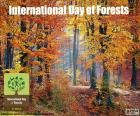 Día Internacional de los Bosques, 21 de marzo. Importancia de todos los tipos de ecosistemas boscosos y de árboles, en beneficio de las generaciones actuales y futuras