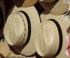 Sombrero panamá