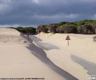 Dunas, carretera