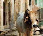 Una vaca sagrada de la India. Los textos de la religión hindú nombran a la vaca como Devi (la diosa) y Aditi (madre de los dioses)