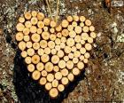 Bonito corazón formado por pequeños troncos